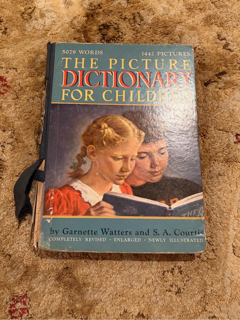 Vintage Blue Picture Dictionary for Children - Blue Cover